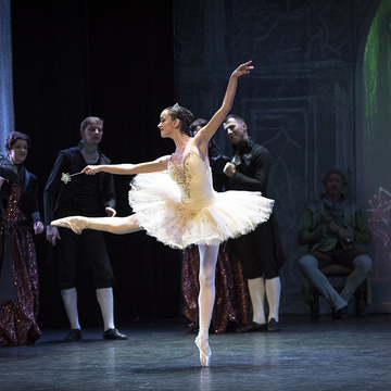 Балет «Щелкунчик» во дворце Белосельских-Белозерских Балет «Щелкунчик» во дворце Белосельских-Белозерских