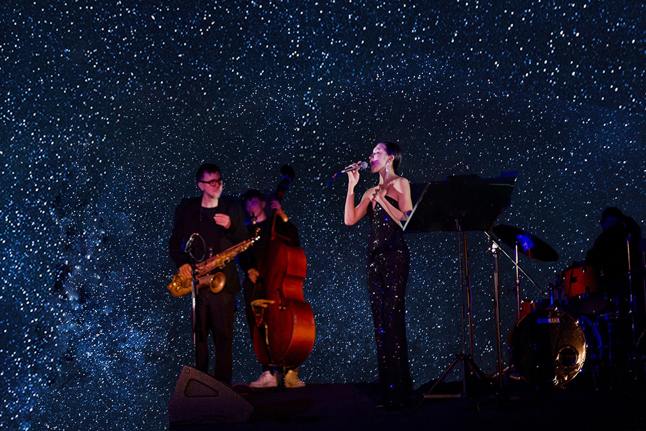 Концерт «Музыка в планетарии. Jazz & Stars» со скидкой 20%