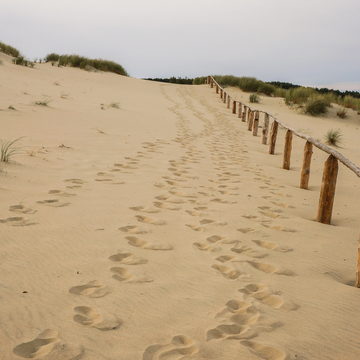 Экскурсия «Национальный парк Куршская коса» из Зеленоградска со скидкой 25%