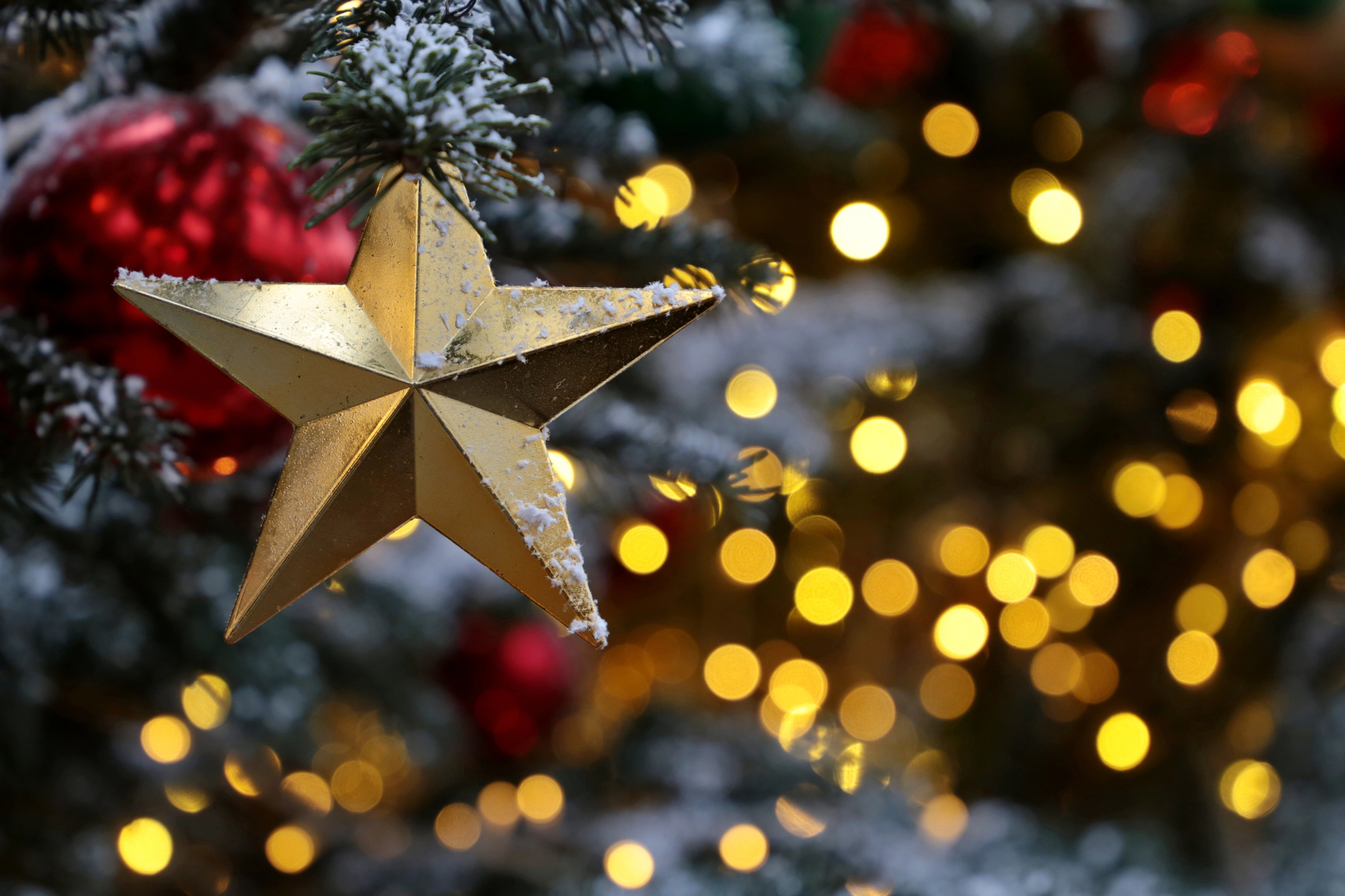 Четырёхдневный тур «Волшебные истории рождественского Калининграда»