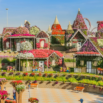 Парк цветов Miracle Garden и ярмарка Global Village из Шарджи Парк цветов Miracle Garden и ярмарка Global Village из Шарджи