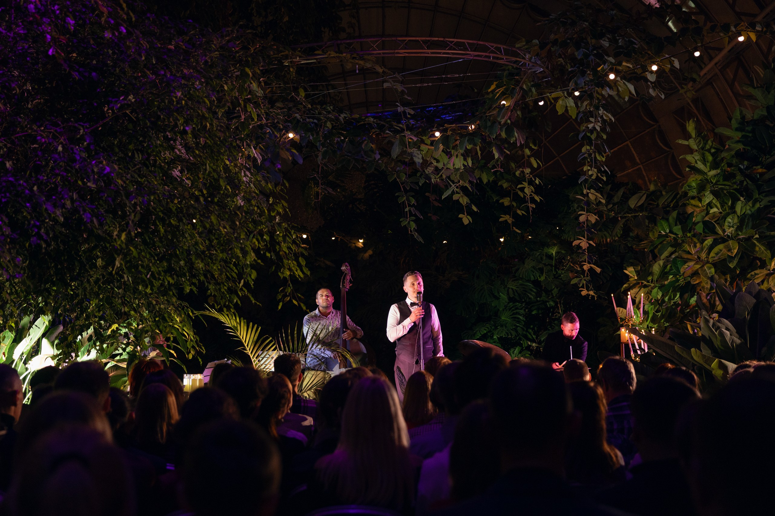 Концерт «Магия свечей. Джаз на луне» в Оранжерее Таврического сада Концерт «Магия свечей. Джаз на луне» в Оранжерее Таврического сада со скидкой 50%