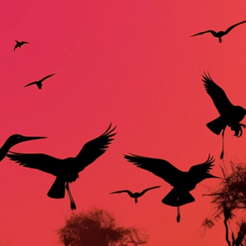 Концерт «Проект «Ностальгия». Шедевры Джо Дассена, Демиса Руссоса, Шарля Азнавура» Концерт «Проект «Ностальгия». Шедевры Джо Дассена, Демиса Руссоса, Шарля Азнавура» со скидкой 40%