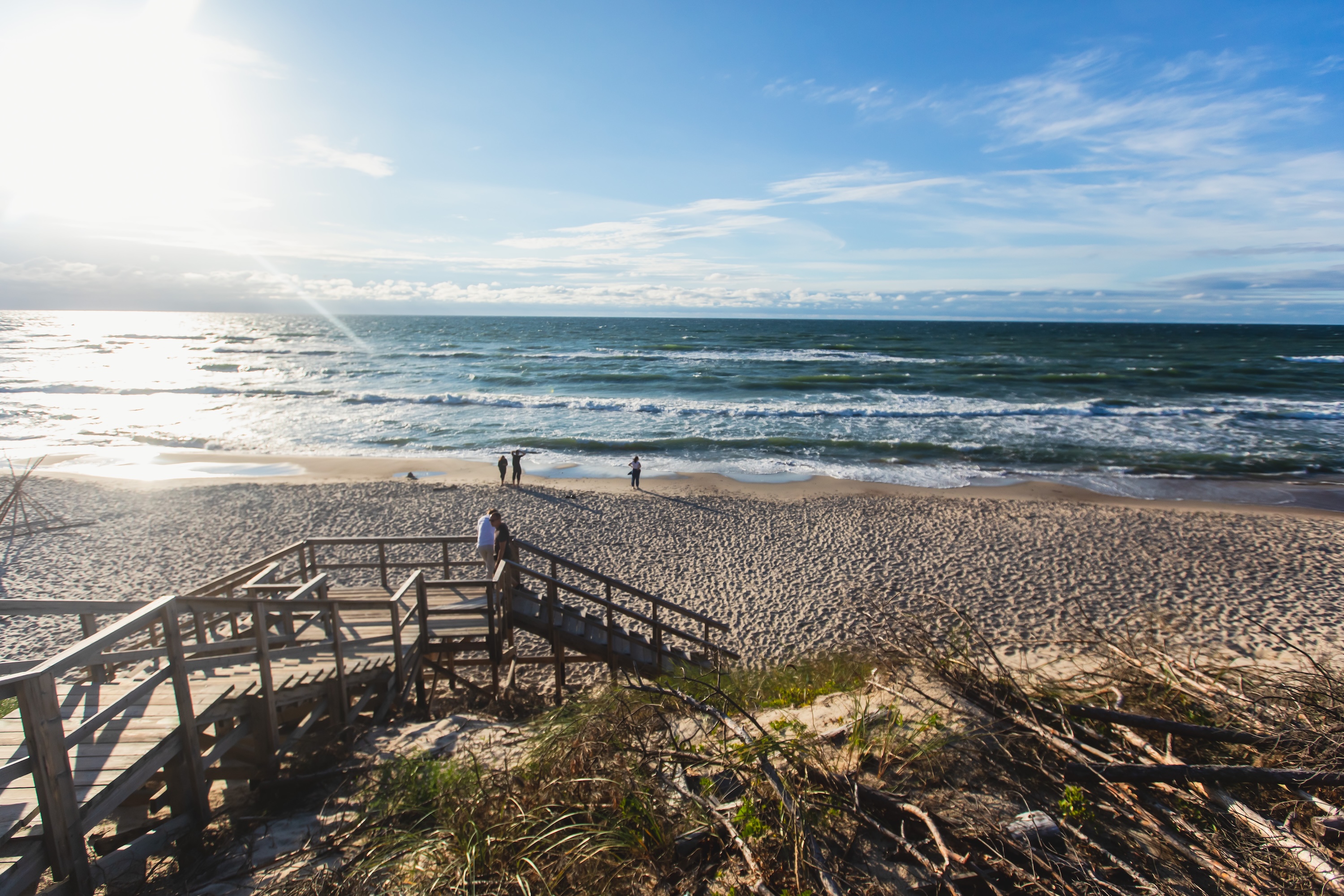 Экскурсия «Коса, коты и сыр» с дегустацией со скидкой 25%