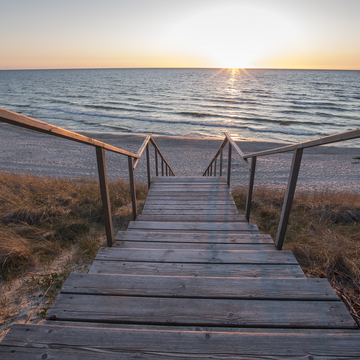 Экскурсия на Куршскую косу с посещением орнитологической станции со скидкой 20%