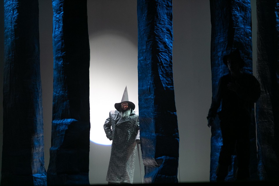 Спектакль «Холодное сердце» в Театре им. В. Ф. Комиссаржевской