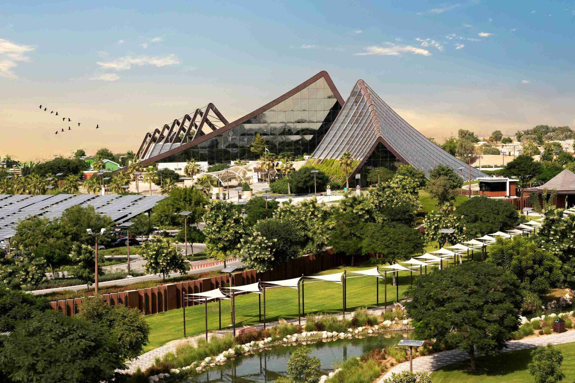 Зоопарк Dubai Safari Park из Шарджи Зоопарк Dubai Safari Park из Шарджи