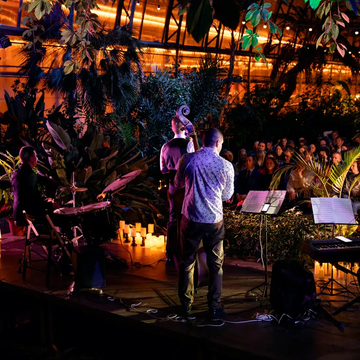 Концерт при свечах Стинг Трибьют (Sting Tribute) в Оранжерее Таврического сада со скидкой 30%