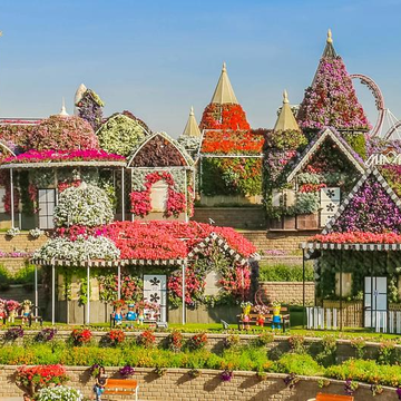 Парк цветов Miracle Garden и ярмарка Global Village из Аджмана Парк цветов Miracle Garden и ярмарка Global Village из Аджмана