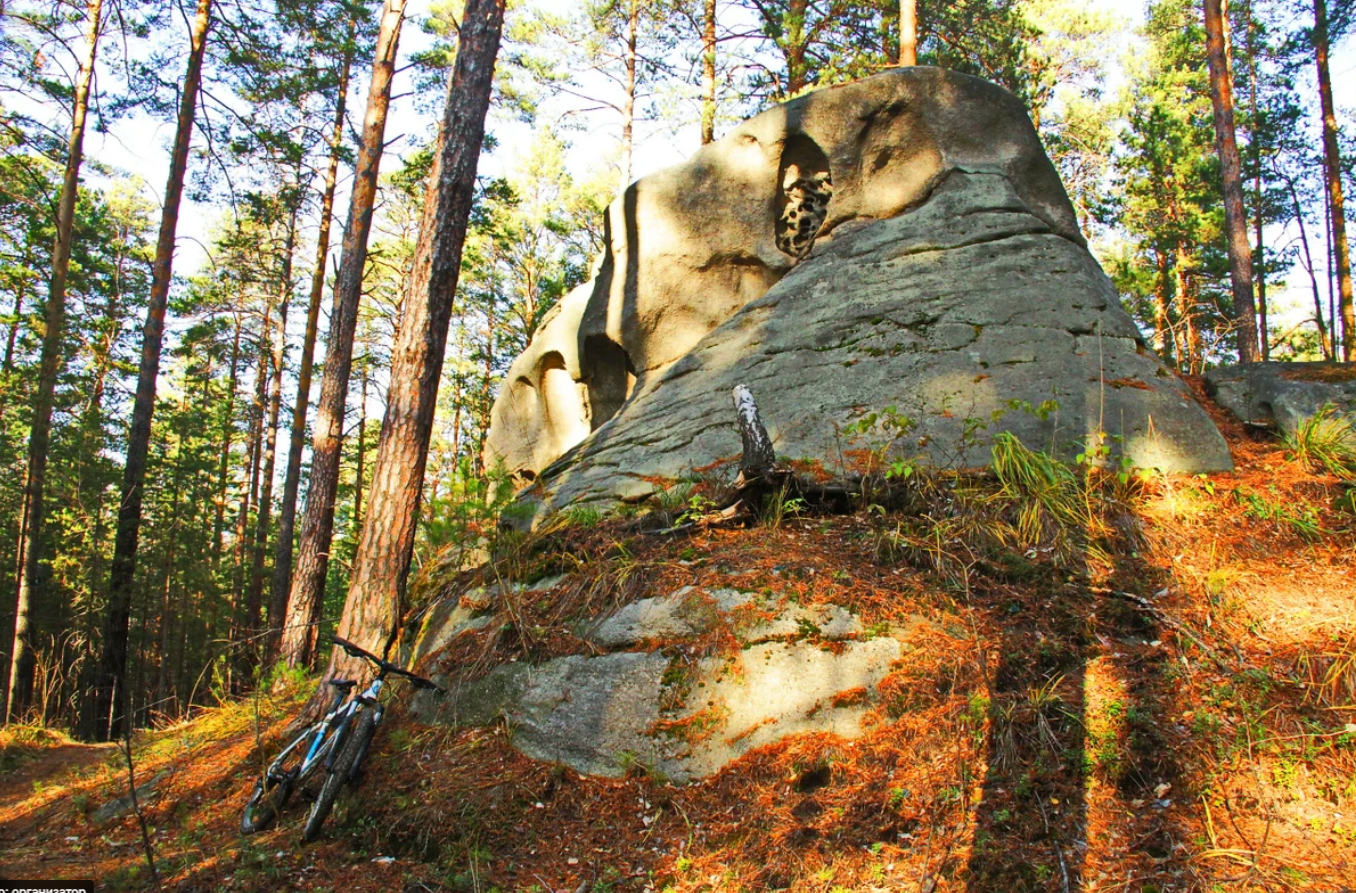 Индивидуальная экскурсия «Дары природы» со скидкой 20%