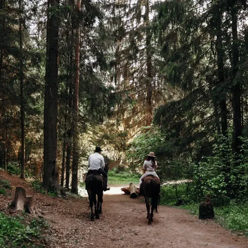 Семейная прогулка на лошадях по лесу Семейная прогулка на лошадях по лесу