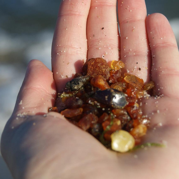 Автобусно-пешеходная экскурсия «Янтарный Берег» со скидкой 25%