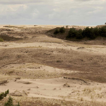 Аудиоэкскурсия «Куршская коса: автомобильная театрализованная экскурсия»