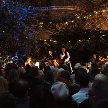 Концерт «L.O.V.E. Джаз» в Оранжерее Таврического сада со скидкой 30%