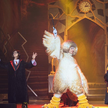 Цирковое шоу «Гарри Поттер. Новый год в Хогвартсе» в «Цирке Чудес» на Нагорной Цирковое шоу «Гарри Поттер. Новый год в Хогвартсе» в «Цирке Чудес» на Нагорной со скидкой 20%