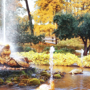 Экскурсия в Петергоф с прогулкой по Нижнему парку со скидкой до 24%