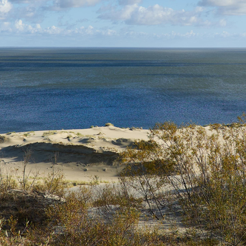 Аудиоэкскурсия «Куршская коса: автопутешествие с аудиогидом по стране гнёзд»