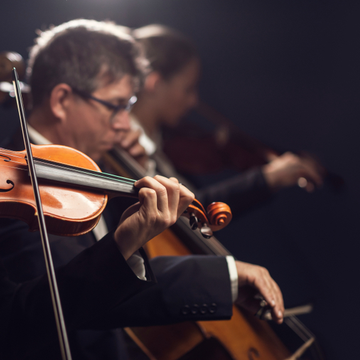 Концерт оркестра Павла Опаровского «Одухотворение» в особняке Шрёдера со скидкой 20%