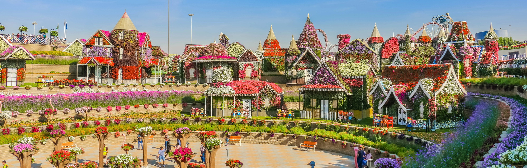 Парк цветов Miracle Garden и ярмарка Global Village из Шарджи Парк цветов Miracle Garden и ярмарка Global Village из Шарджи