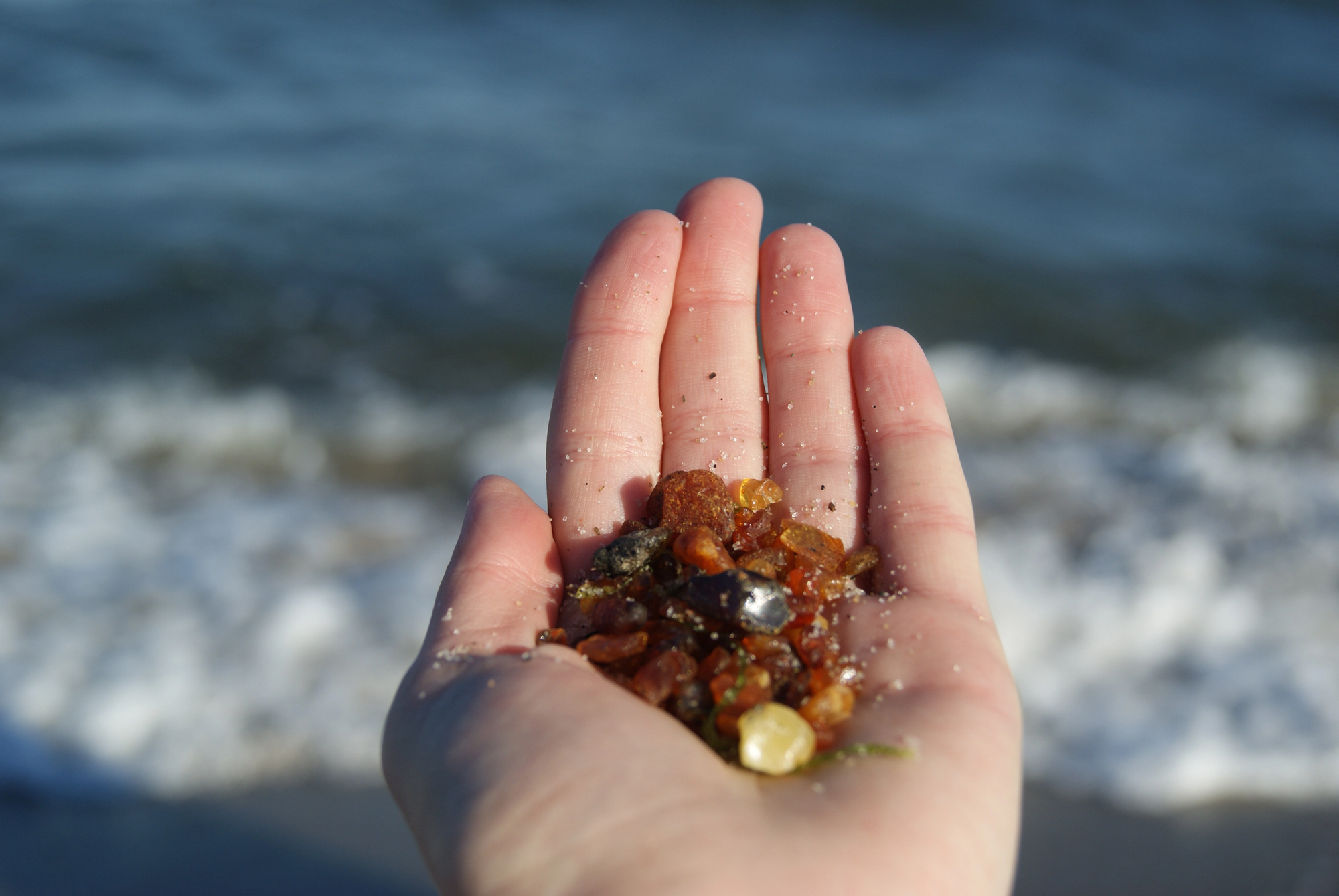 Автобусно-пешеходная экскурсия «Янтарный Берег» со скидкой 25%