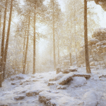 Индивидуальная экскурсия «Дары природы» со скидкой 20%