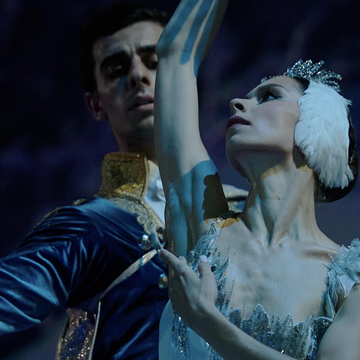 Балет «Лебединое озеро» с экскурсией по Владимирскому дворцу