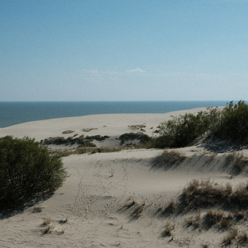 Автобусно-пешеходная экскурсия на Куршскую косу и в Зеленоградск в мини-группе со скидкой 20%