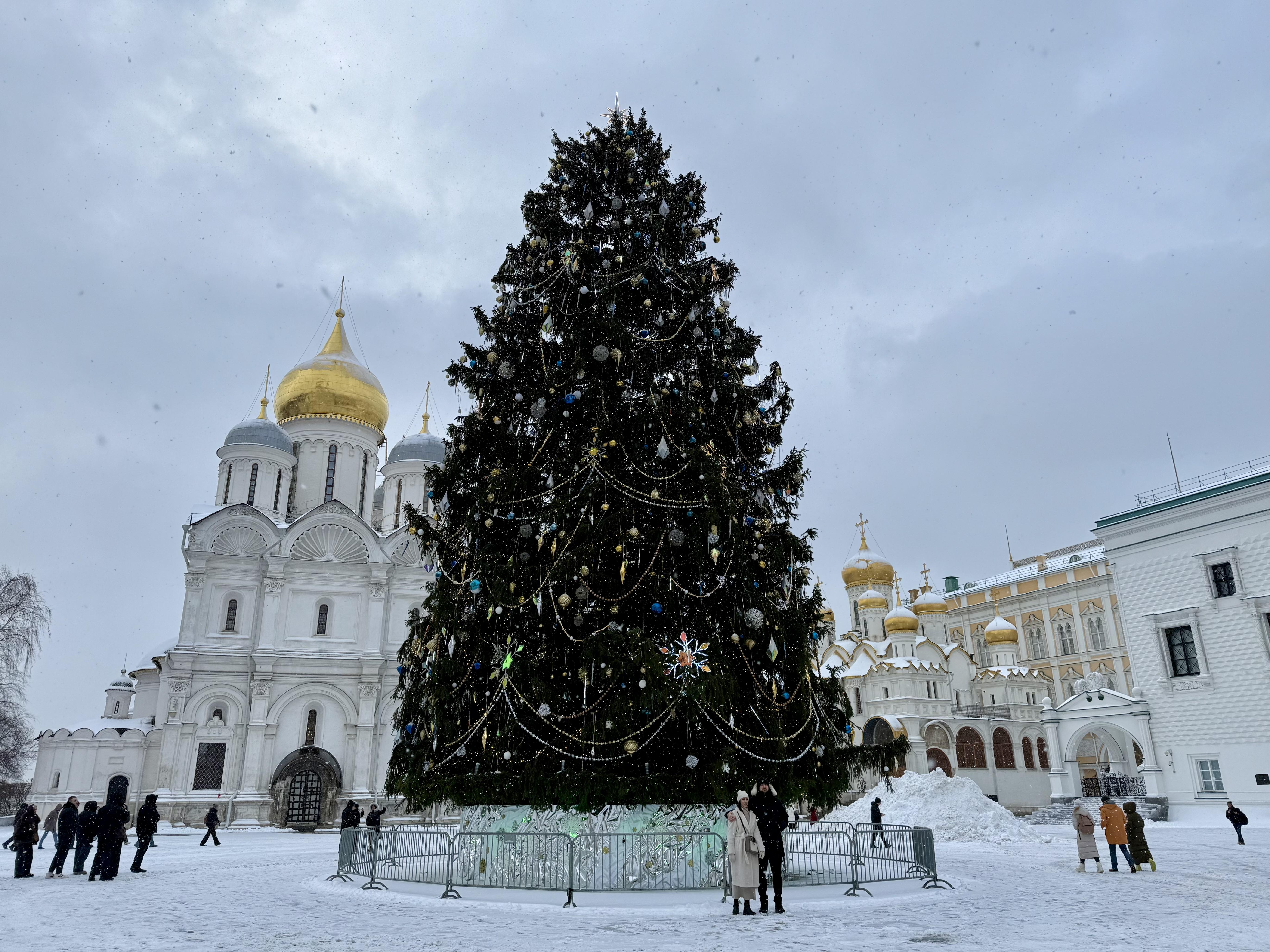Новогоднюю елку в Кремле установили на Соборной площади