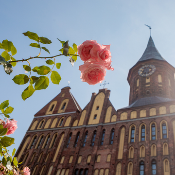 Экскурсии по Калининграду и пригородам со скидками до 65%