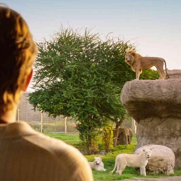 Зоопарк Dubai Safari Park