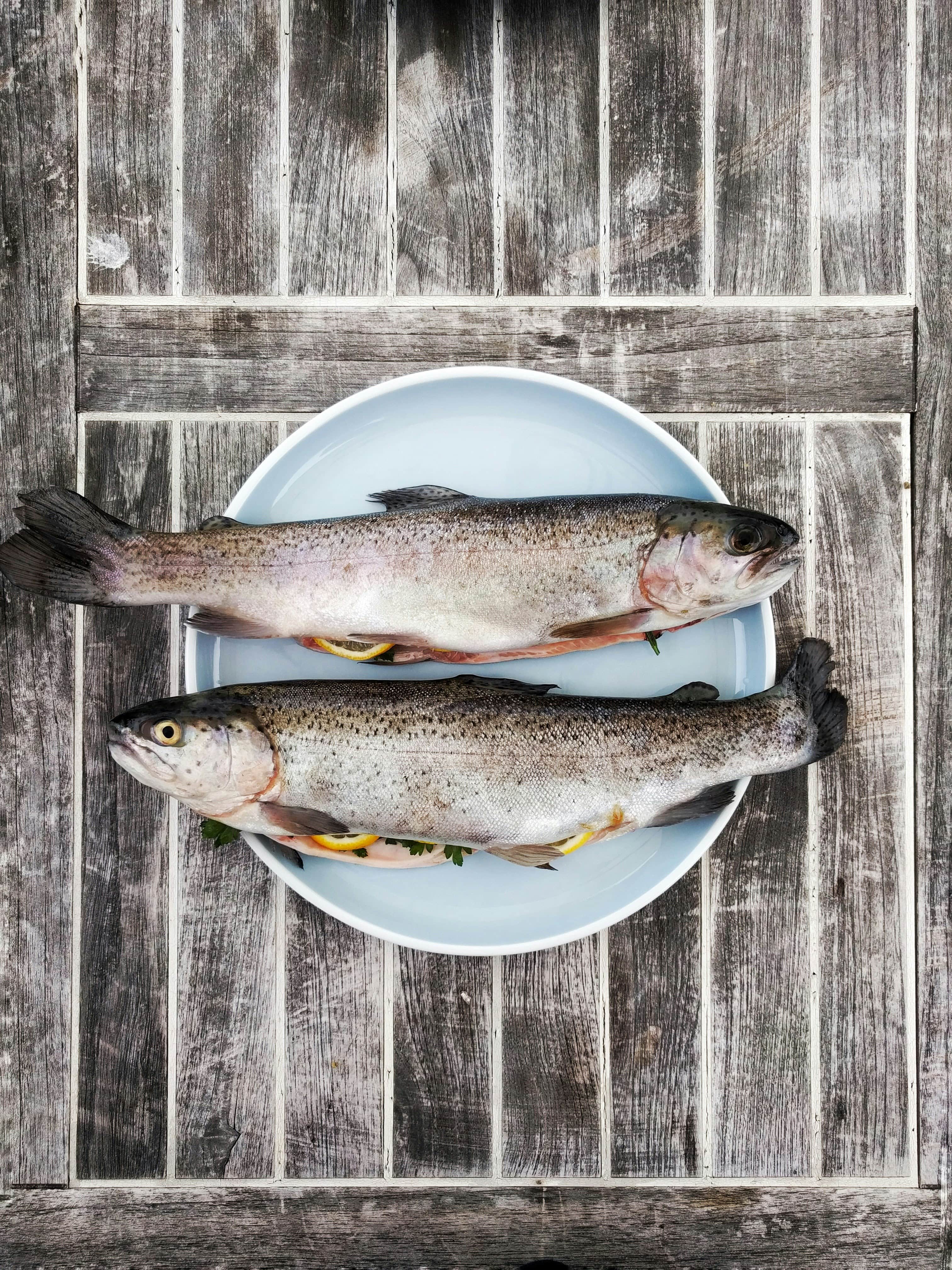 Экскурсия для гурманов «Рыбная fish-ка Татарстана» со скидкой 20%