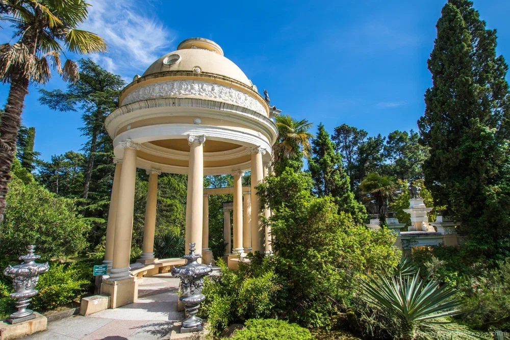 Парк «Дендрарий» в Сочи