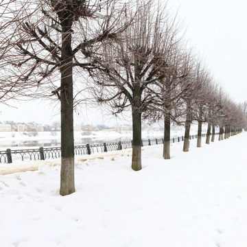 Индивидуальная экскурсия «Тверь: знакомство с городом» со скидкой 20%