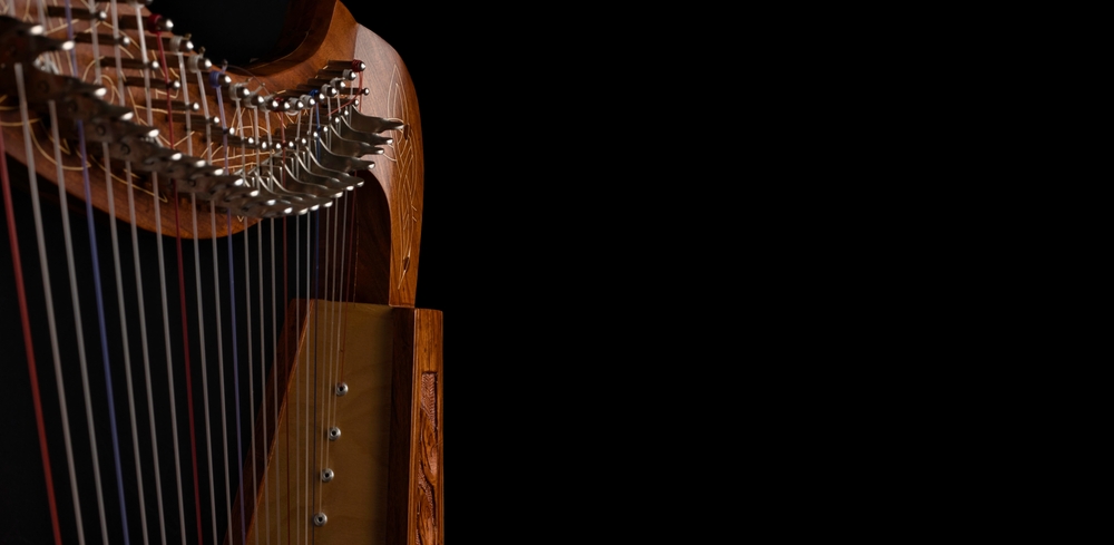 Концерт «Кельтские арфы» во Владимирском дворце с экскурсией со скидкой 30%