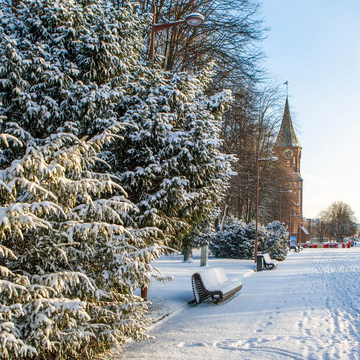 Автобусно-пешеходная экскурсия «Калининград. Весь смак за 3,5 часа» со скидкой 20%