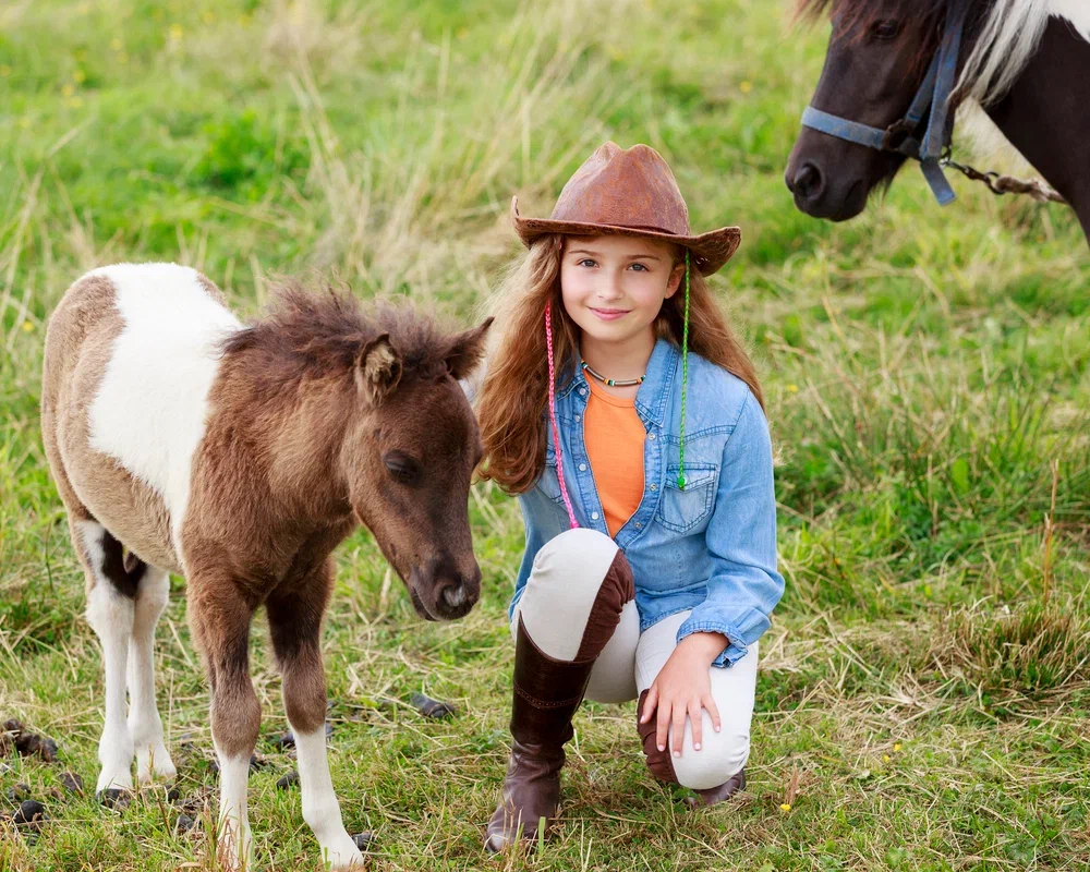 Прогулка на пони Прогулка на пони со скидкой 50%