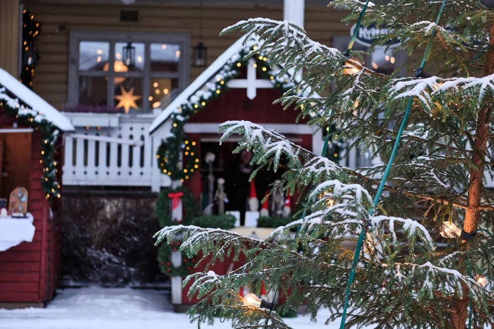 Концерт «Органное Рождество при свечах» Концерт «Органное Рождество при свечах» со скидкой 30%