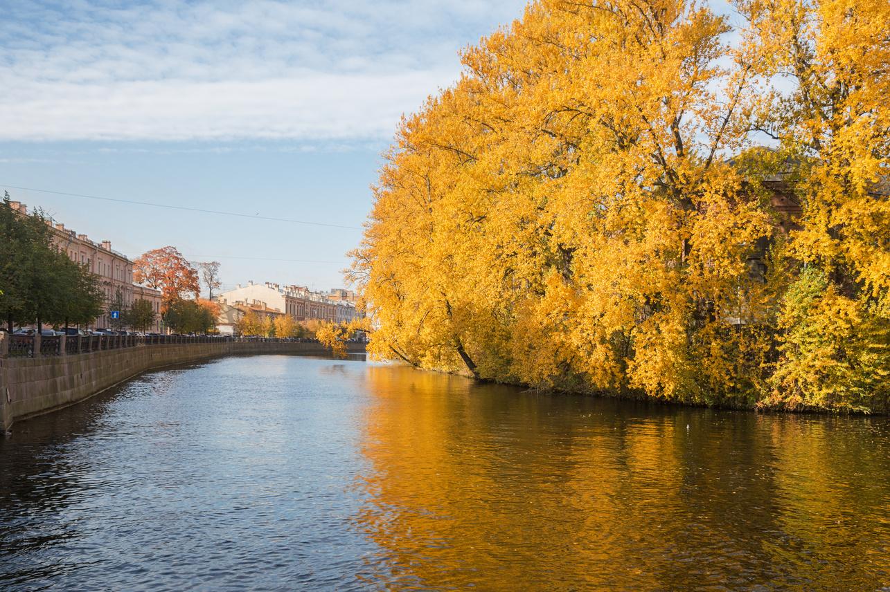 Чем заняться в Петербурге: афиша событий 28 и 29 октября
