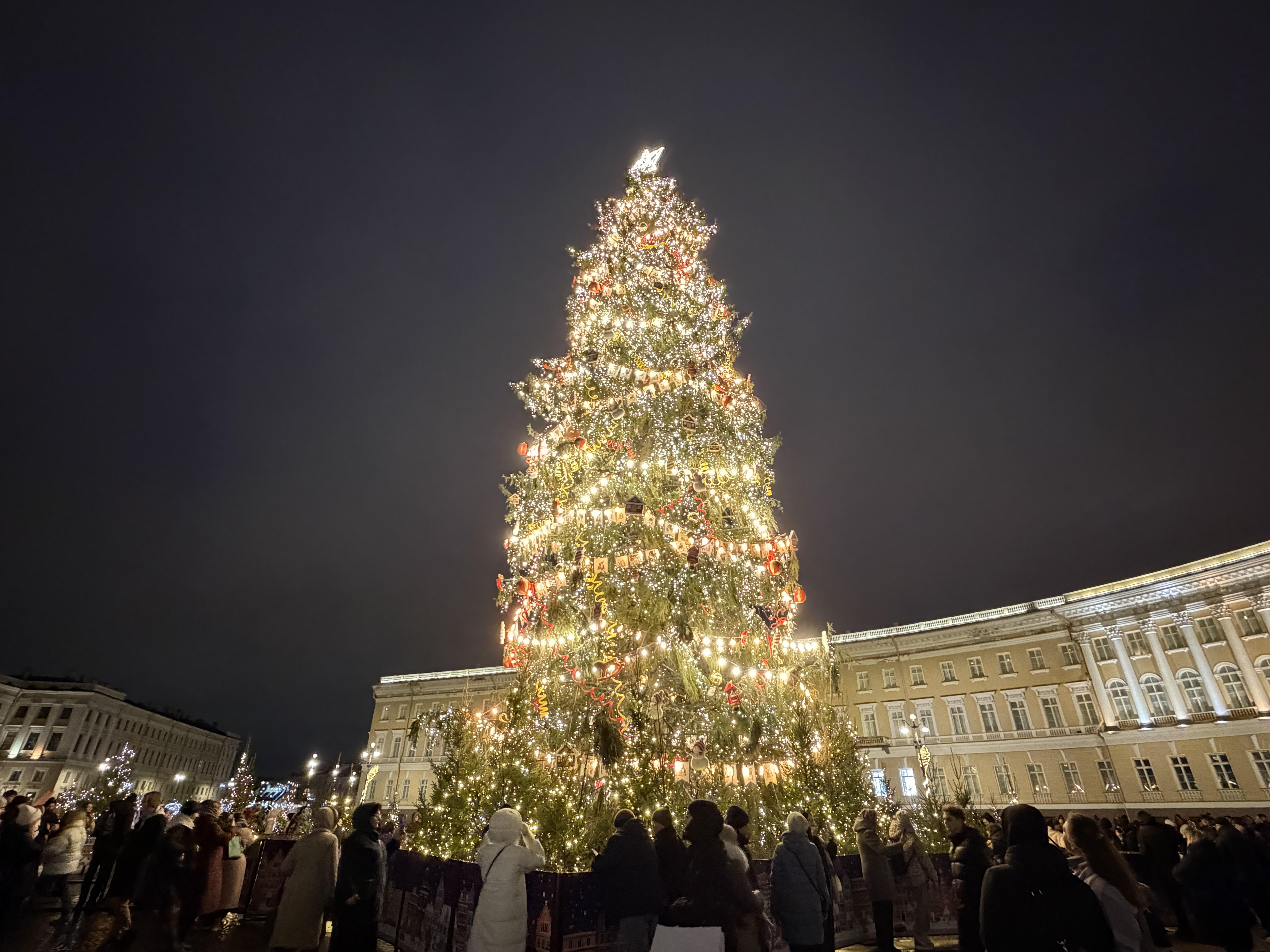Новогодние украшения в Петербурге начнут убирать 15 января