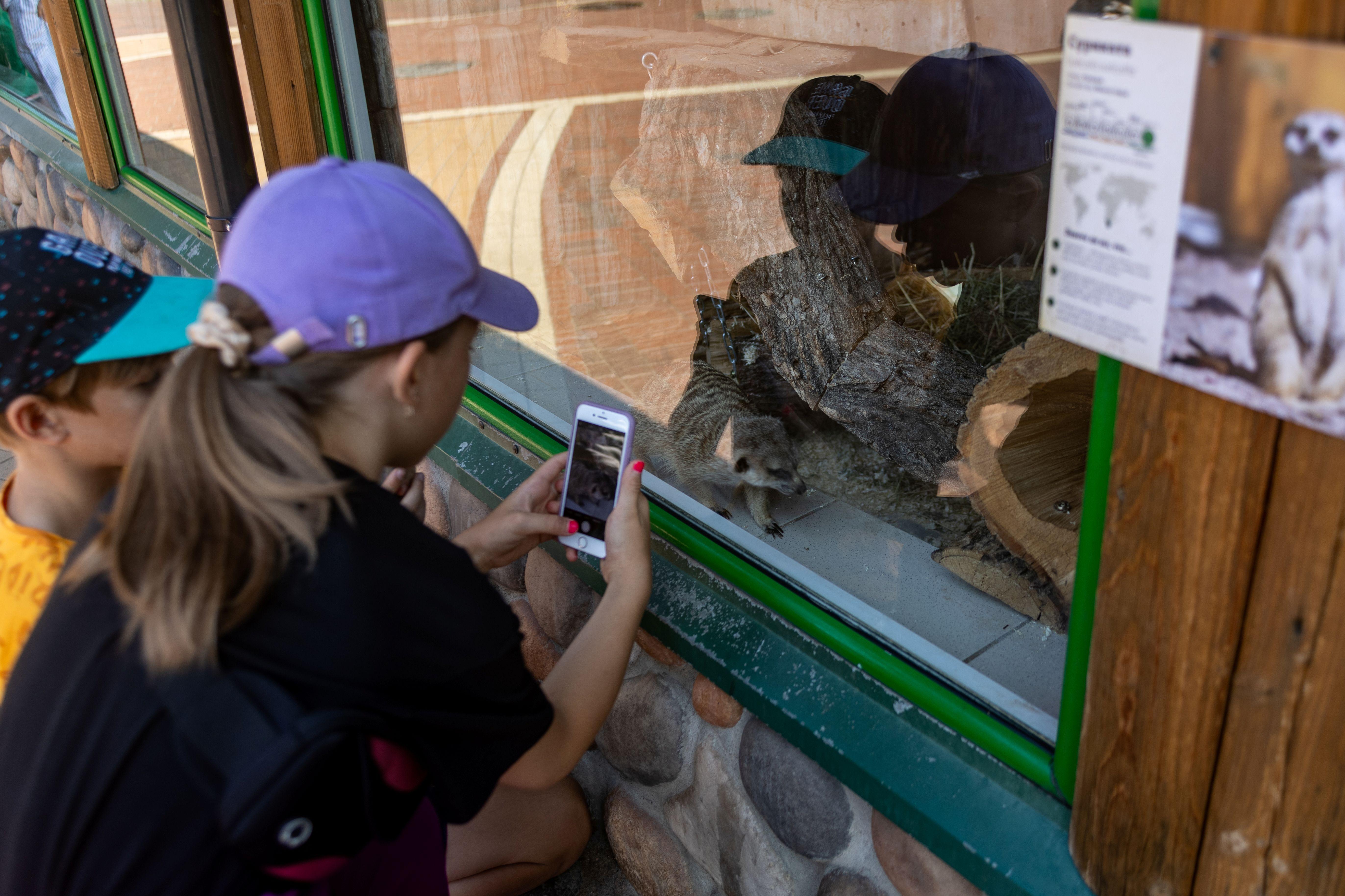 Бесплатно в Ленинградский зоопарк: «Горбилет» дарит билеты