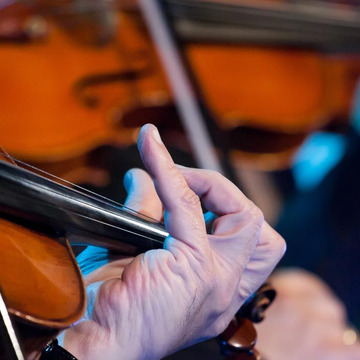 Симфонический концерт. Дирижёр – Николай Алексеев Симфонический концерт. Дирижёр – Николай Алексеев