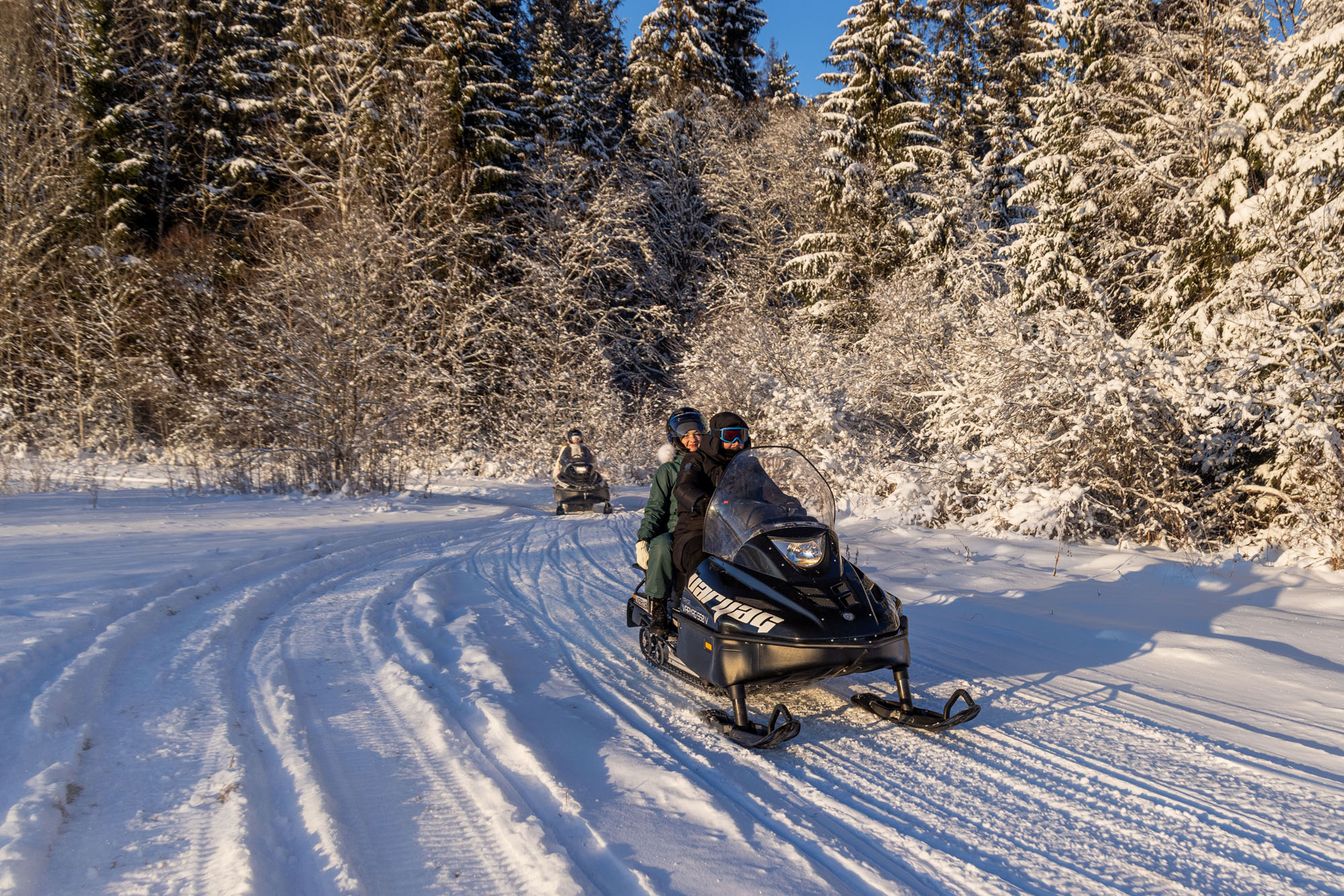 Катание на сибирских санях в Сортавале