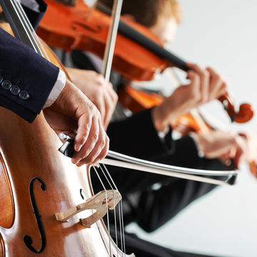 Концерт «Под музыку Вивальди» во Владимирском дворце с экскурсией со скидкой 30%