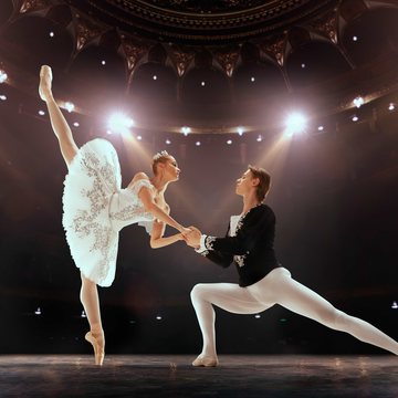 Балет «Лебединое озеро» в Александро-Невской лавре со скидкой 30%