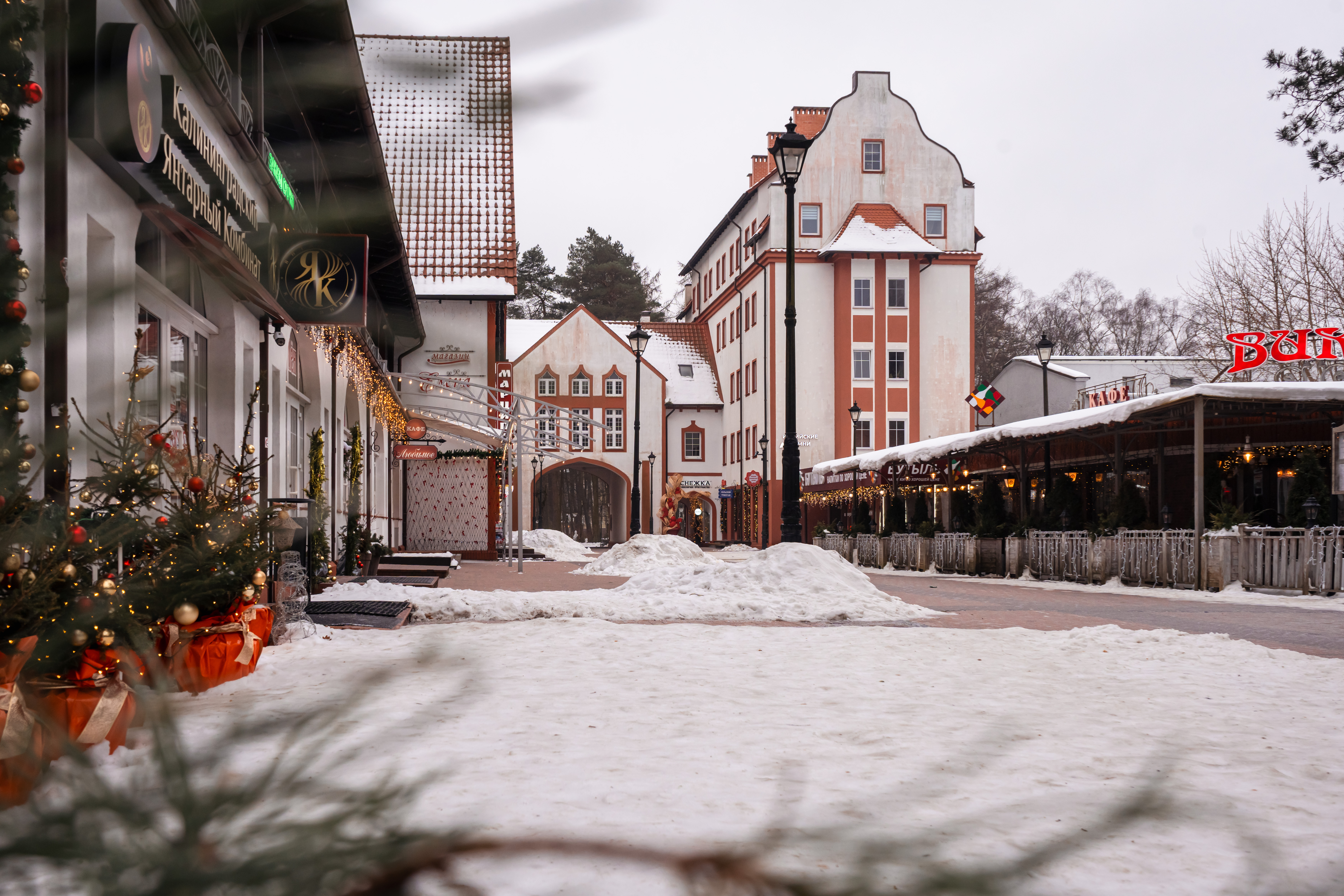 Автобусная экскурсия «Светлогорск и Янтарный» с обедом со скидкой 25%