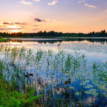 Двухдневный тур «От Причудья и Плескова к Талабским островам» Двухдневный тур «От Причудья и Плескова к Талабским островам»