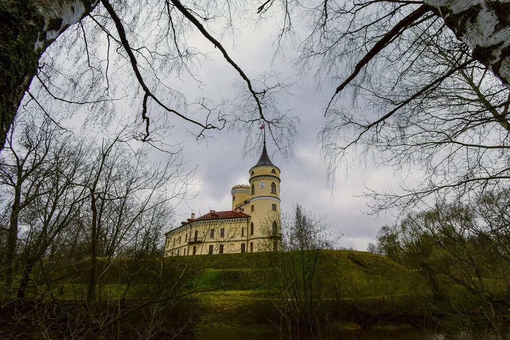 picture