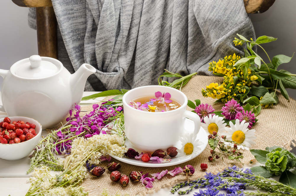 Мастер-класс: «Тайны русских трав: создаём купаж с Иван-чаем» Мастер-класс: «Тайны русских трав: создаём купаж с Иван-чаем» со скидкой 20%