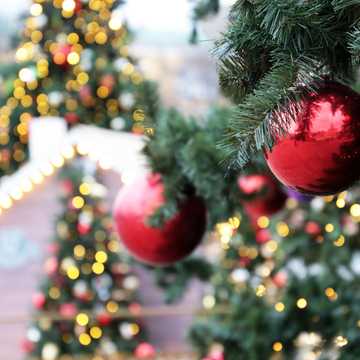 Автобусная экскурсия «К Новогодним звёздам синих куполов» Автобусная экскурсия «К Новогодним звёздам синих куполов»