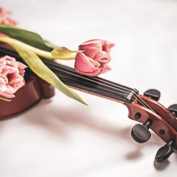 Концерт «Весенние голоса. Моцарт, Бетховен, Шопен, Чайковский» со скидкой 50%